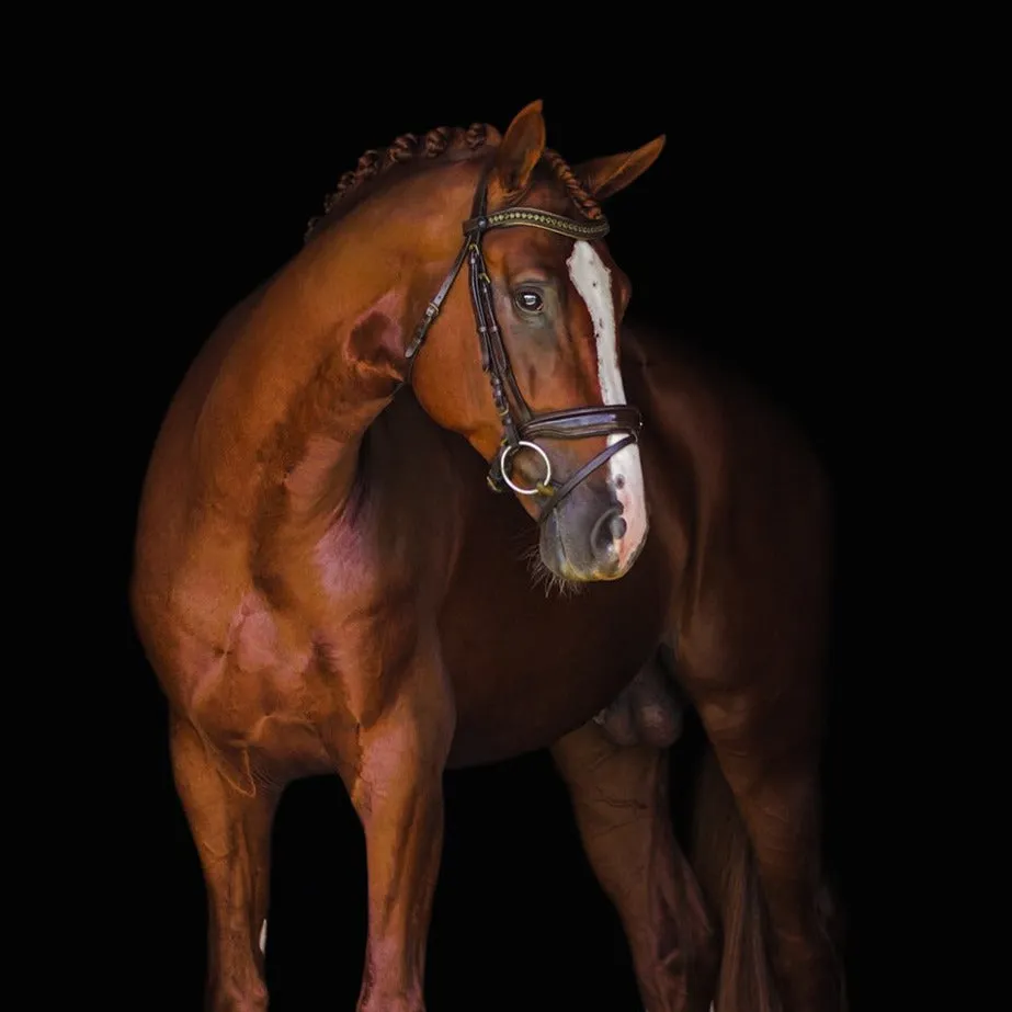 Athena Brown Patent Snaffle Bridle