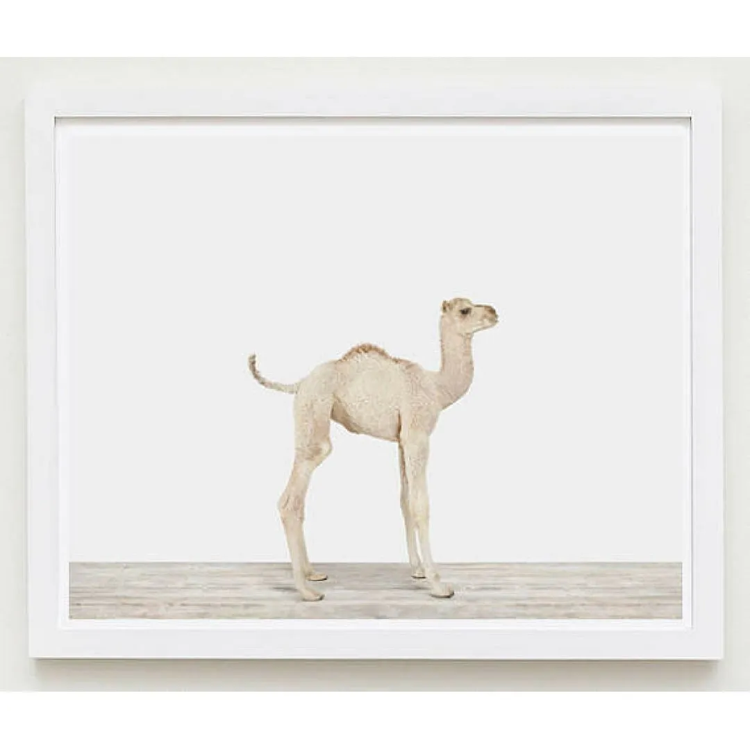 Baby Camel Print