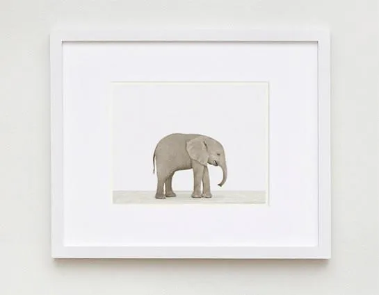 Baby Elephant Print