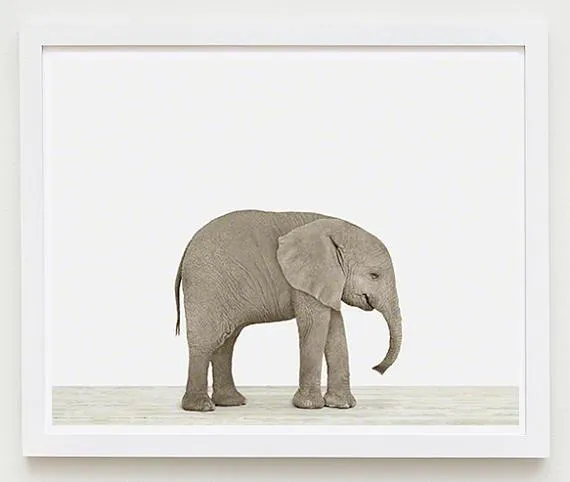 Baby Elephant Print