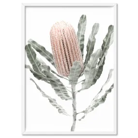 Banksia Pastels II - Art Print