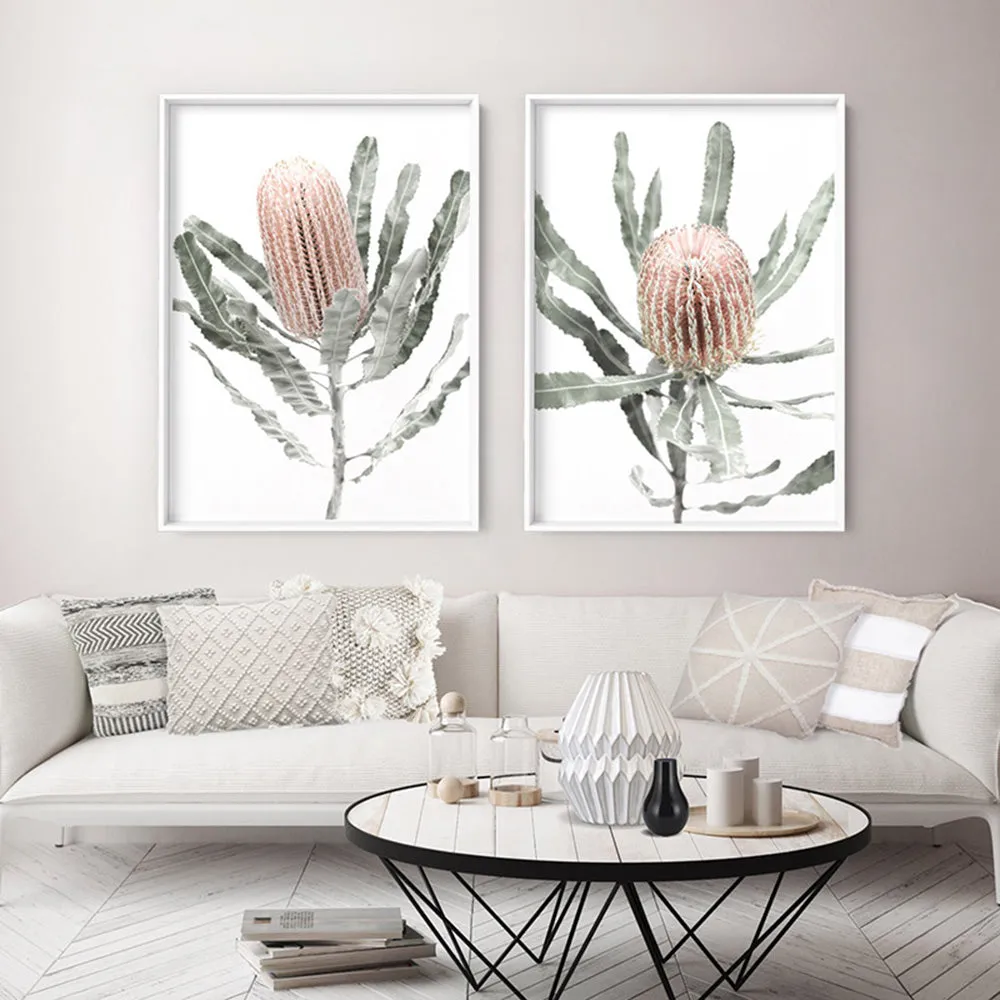 Banksia Pastels II - Art Print