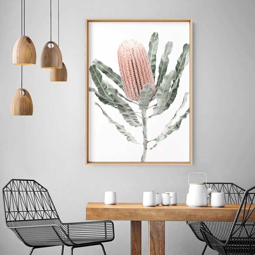 Banksia Pastels II - Art Print