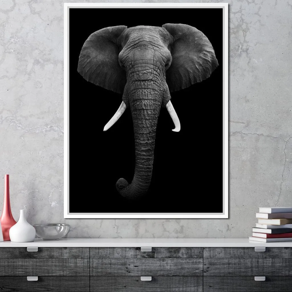 Black and White Elephant Face