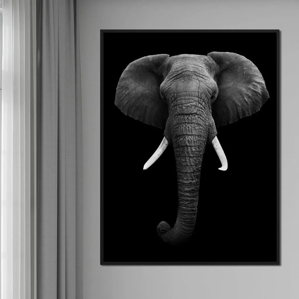 Black and White Elephant Face