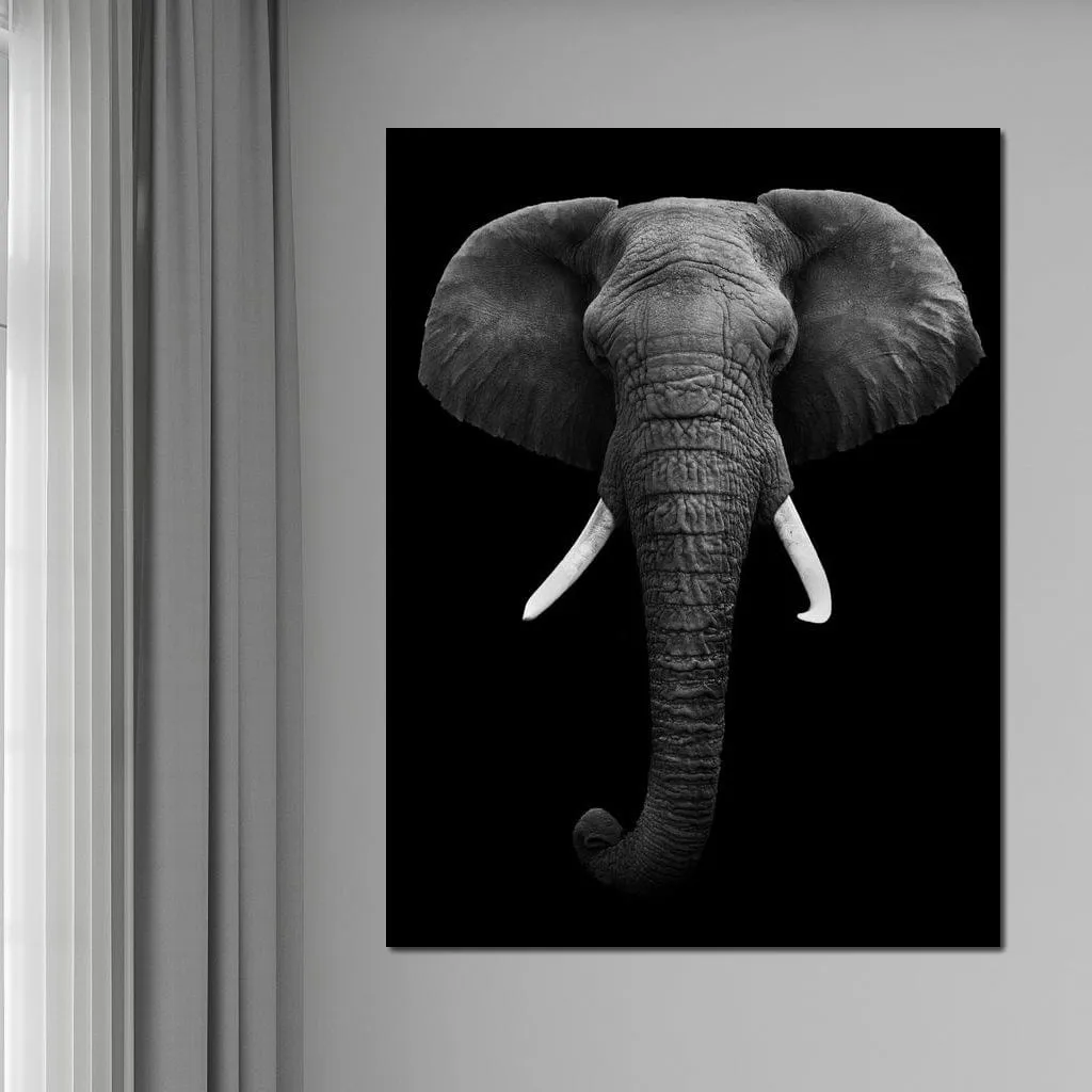 Black and White Elephant Face