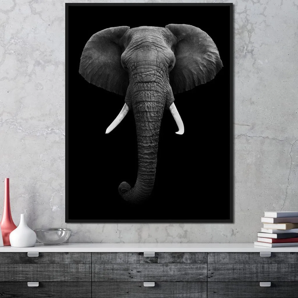 Black and White Elephant Face