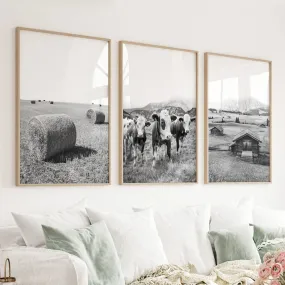 Black White Rustic Photo. Wall Art Set. Cows, Barn, Haystack