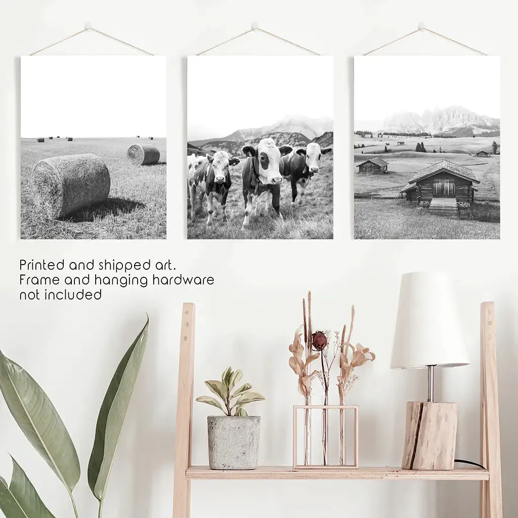 Black White Rustic Photo. Wall Art Set. Cows, Barn, Haystack