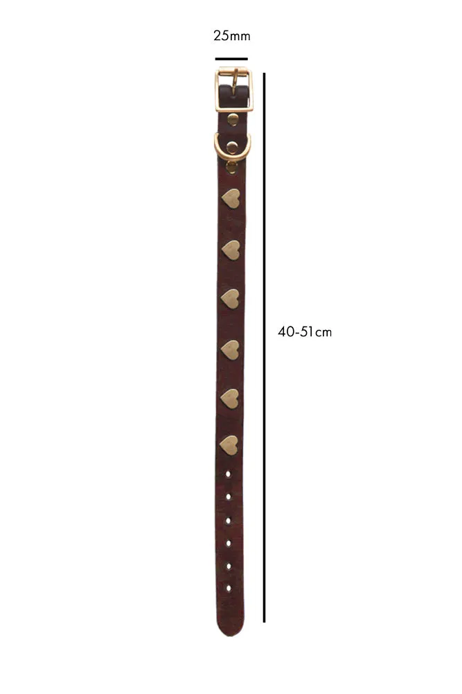 Brown Leather Dog Collar With Hearts - 5 Available Sizes