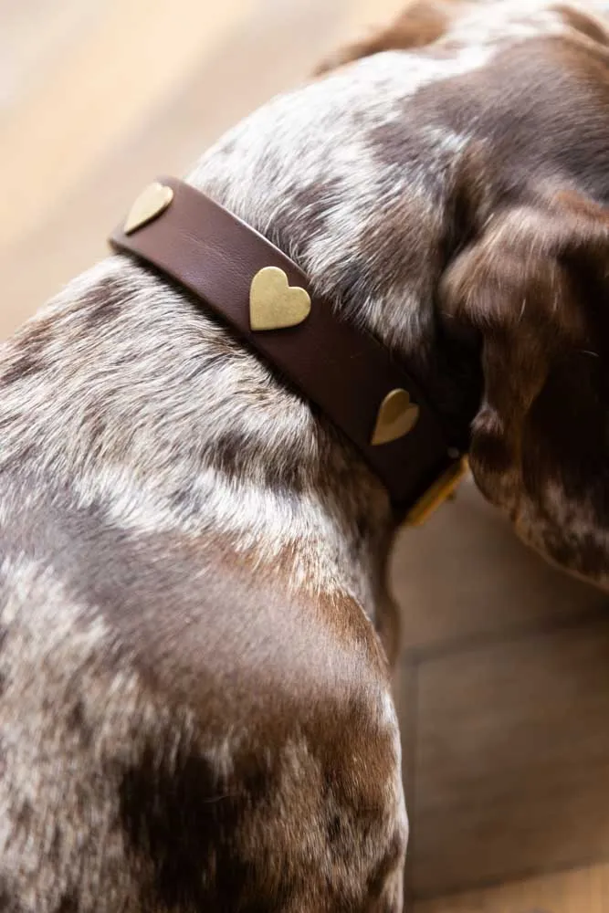 Brown Leather Dog Collar With Hearts - 5 Available Sizes