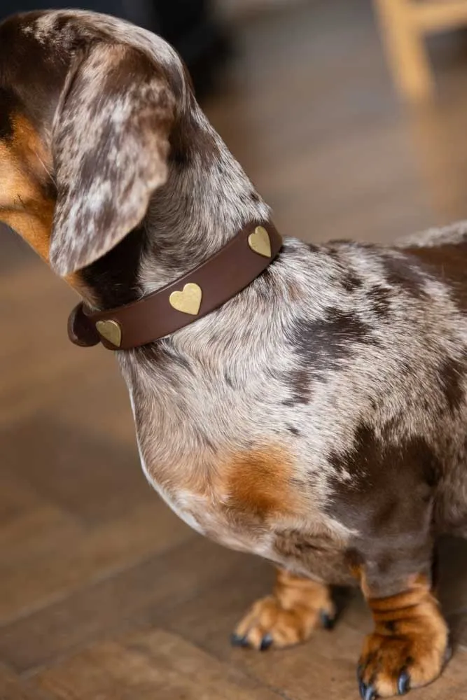 Brown Leather Dog Collar With Hearts - 5 Available Sizes