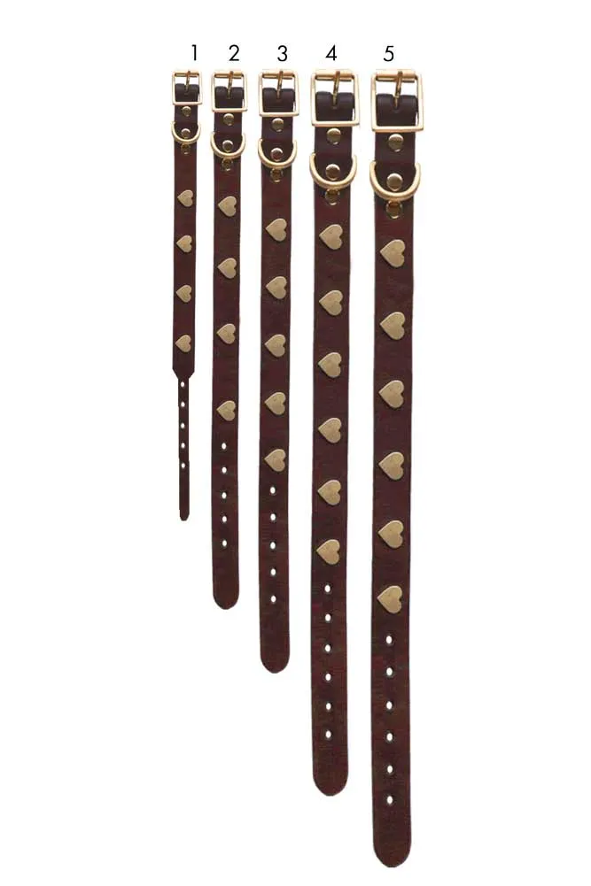 Brown Leather Dog Collar With Hearts - 5 Available Sizes