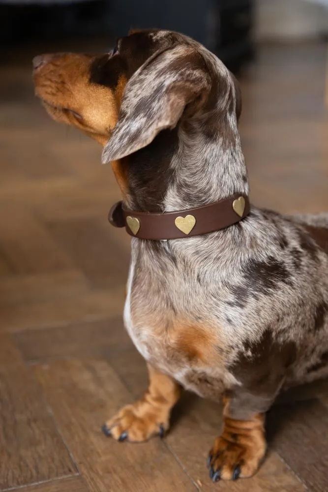 Brown Leather Dog Collar With Hearts - 5 Available Sizes