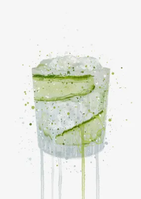 Gin and Tonic 'Cucumber' Wall Art Print