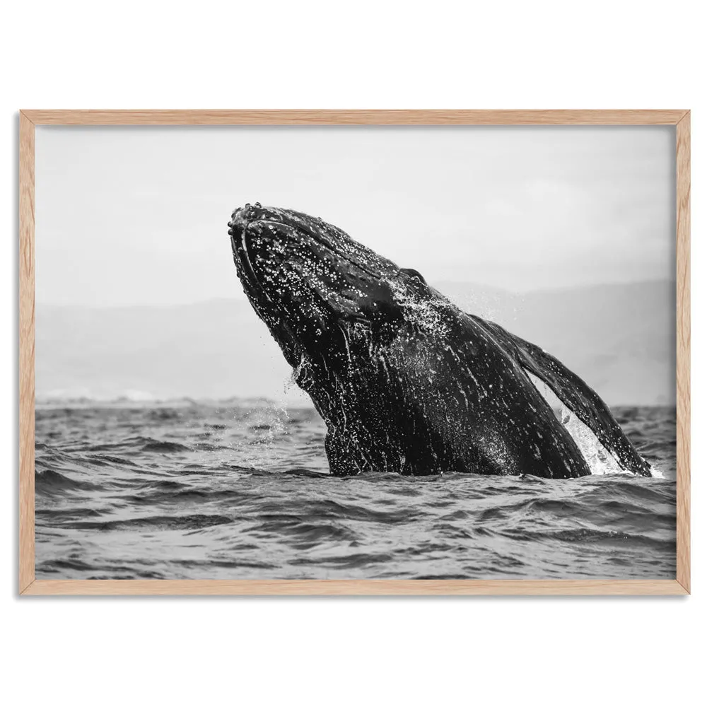 Humpback Whale Breach Landscape - Art Print