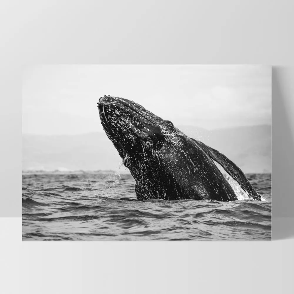 Humpback Whale Breach Landscape - Art Print